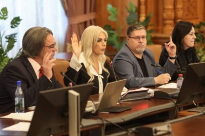 ce-legi-a-blocat-laura-vicol-cand-era-presedinta-comisiei-juridice-din-camera-deputatilor