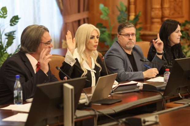 ce-legi-a-blocat-laura-vicol-cand-era-presedinta-comisiei-juridice-din-camera-deputatilor