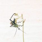 radar-cultural.-greierii-muti