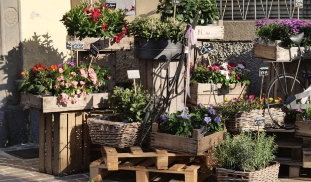 tara-din-europa-pe-care-nu-ai-voie-sa-o-vizitezi-in-august:-oamenii-dispar,-magazinele-se-inchid