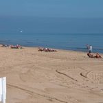 doua-creaturi-de-3-centimetri-lungime-au-inchis-toate-plajele-dintr-un-oras-spaniol