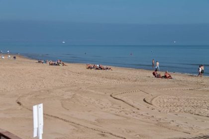 doua-creaturi-de-3-centimetri-lungime-au-inchis-toate-plajele-dintr-un-oras-spaniol