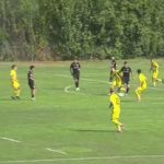 test-reusit-pentru-dinamo-cu-fratii-de-la-cs-pe-cine-a-mizat-zeljko-kopic