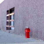 emeric-ienei-va-fi-ingropat-alaturi-de-fosta-lui-sotie-detaliul-din-fata-casei-din-oradea