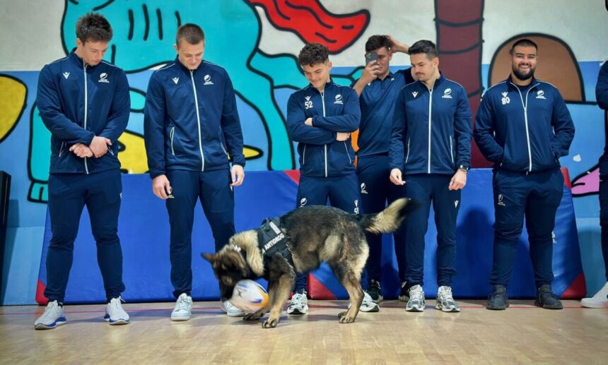 rugbistii,-antrenament-cu-un-caine-de-la-antidrog-pentru-meciul-cu-canada