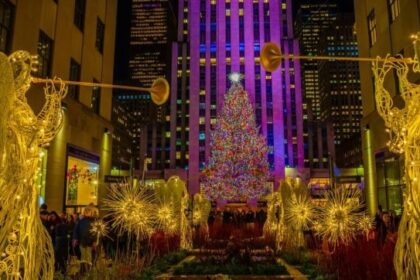 cei-mai-impresionanti-brazi-de-craciun-ai-lumii-pe-care-trebuie-sa-i-vezi-macar-o-data