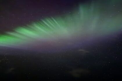 top-12-moduri-atroce-de-a-muri.-de-la-scaunul-electric,-la-rastignire,-cele-mai-ingrozitoare-optiuni-de-final