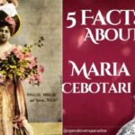 radar-cultural.-divele