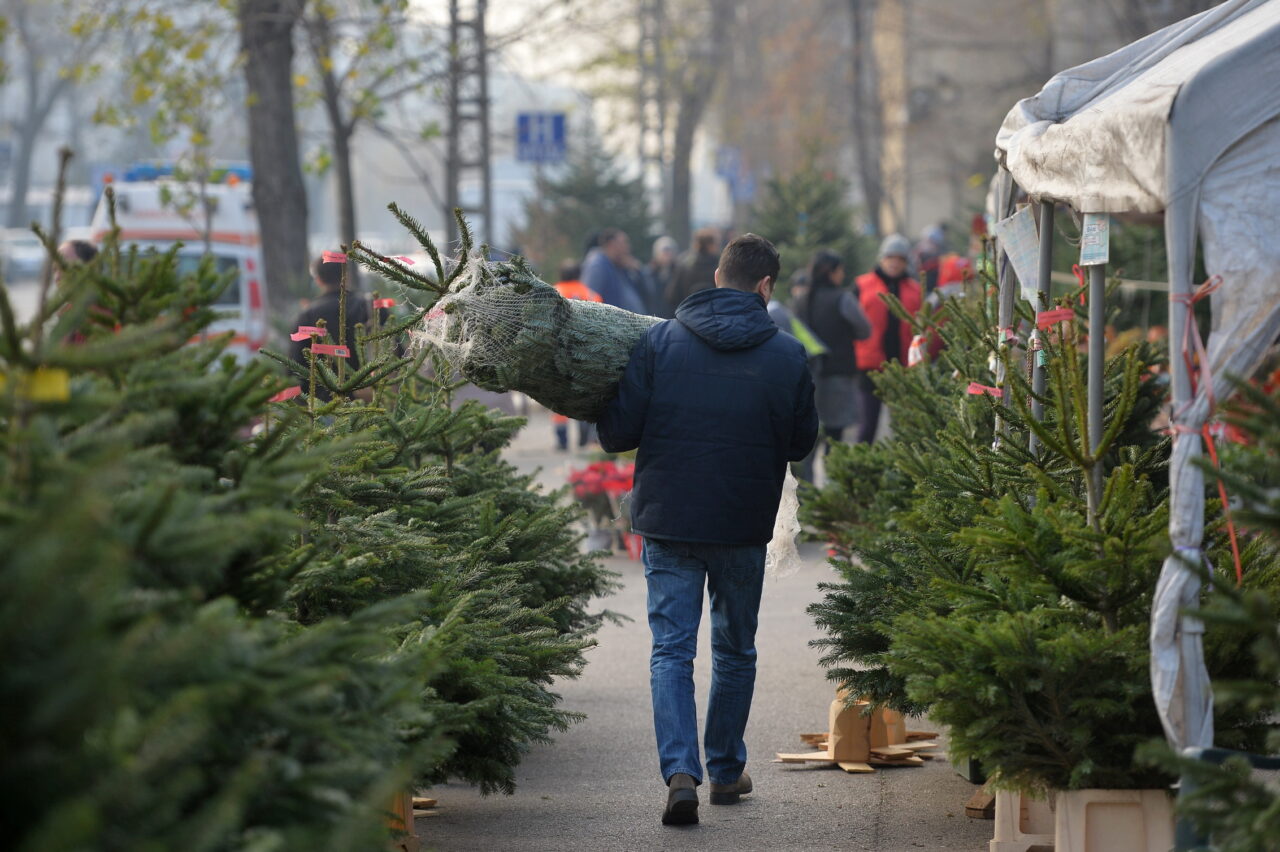 cand-se-impodobeste-bradul-de-craciun-si-ce-semnificatii-are-acest-simbol-universal-al-sarbatorilor-de-iarna