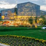 parklake-da-startul-aventurii-in-orasul-de-craciun-|-revista-biz-–-prima-revista-de-business-din-romania