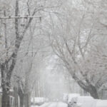 ninge-in-romania-de-mos-nicolae,-conform-accuweather.-zonele-in-care-va-fi-zapada-ca-in-povesti,-pe-5-6-decembrie-2025