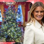 decorul-de-craciun-al-melaniei-trump-da-internetul-peste-cap!-americanii-s-au-crucit-cand-au-vazut-cu-ce-a-impodobitcasaalba
