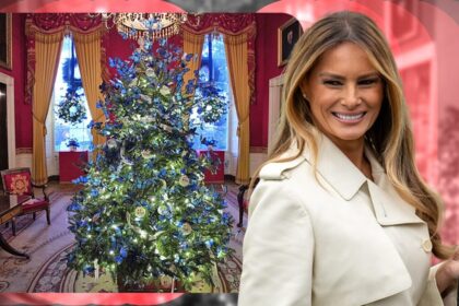 decorul-de-craciun-al-melaniei-trump-da-internetul-peste-cap!-americanii-s-au-crucit-cand-au-vazut-cu-ce-a-impodobitcasaalba