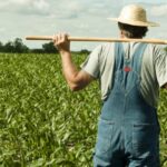 imm-romania:-doar-30%-dintre-agricultori-au-reusit-in-2025-sa-obtina-finantare-europeana-sau-nationala-–-economica.net