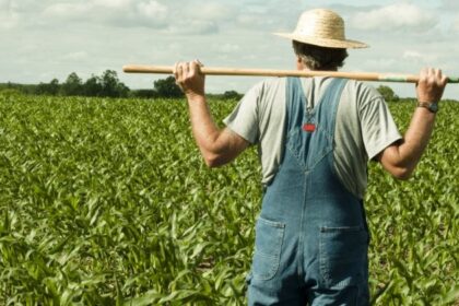 imm-romania:-doar-30%-dintre-agricultori-au-reusit-in-2025-sa-obtina-finantare-europeana-sau-nationala-–-economica.net