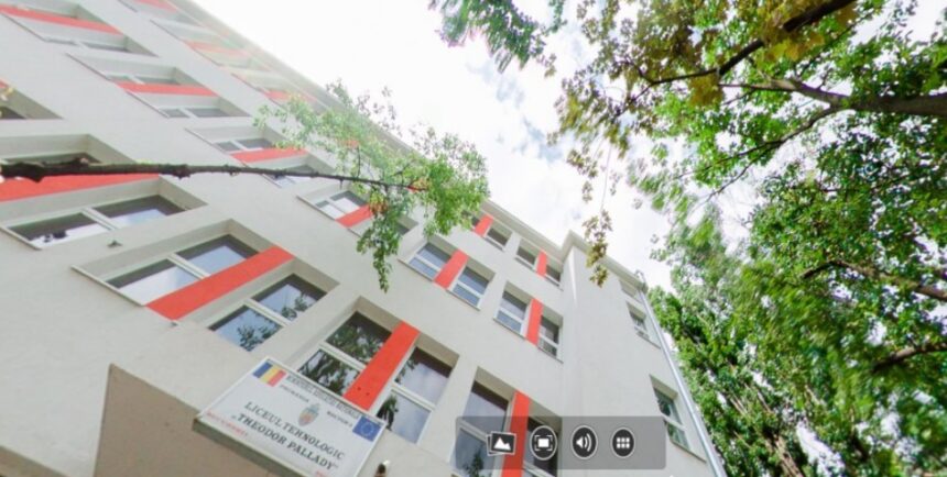 programa-de-clasa-a-ix-a-de-romana-a-ministerului-educatiei,-tocata-marunt-de-academia-romana-/-compromite-placerea-lecturii-cu-o-programa-ceausista,-reciclata-pentru-generatia-ai