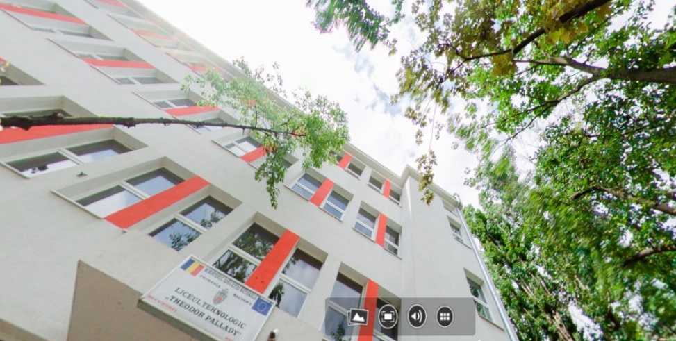 programa-de-clasa-a-ix-a-de-romana-a-ministerului-educatiei,-tocata-marunt-de-academia-romana-/-compromite-placerea-lecturii-cu-o-programa-ceausista,-reciclata-pentru-generatia-ai