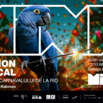 revelion-pe-ritmurile-carnavalului-de-la-rio-la-mina-bucuresti-|-revista-biz-–-prima-revista-de-business-din-romania