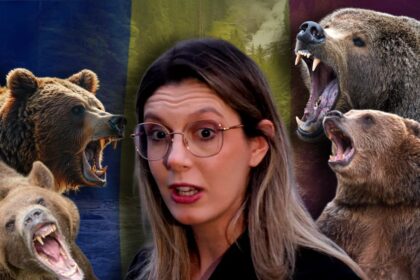 diana-buzoianu-anunta-cati-ursi-sunt,-de-fapt,-in-romania