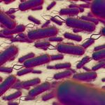 microbiomul-intestinal,-afectat-de-alimente-si-poluare:-168-de-substante-chimice-ataca-bacteriile-benefice