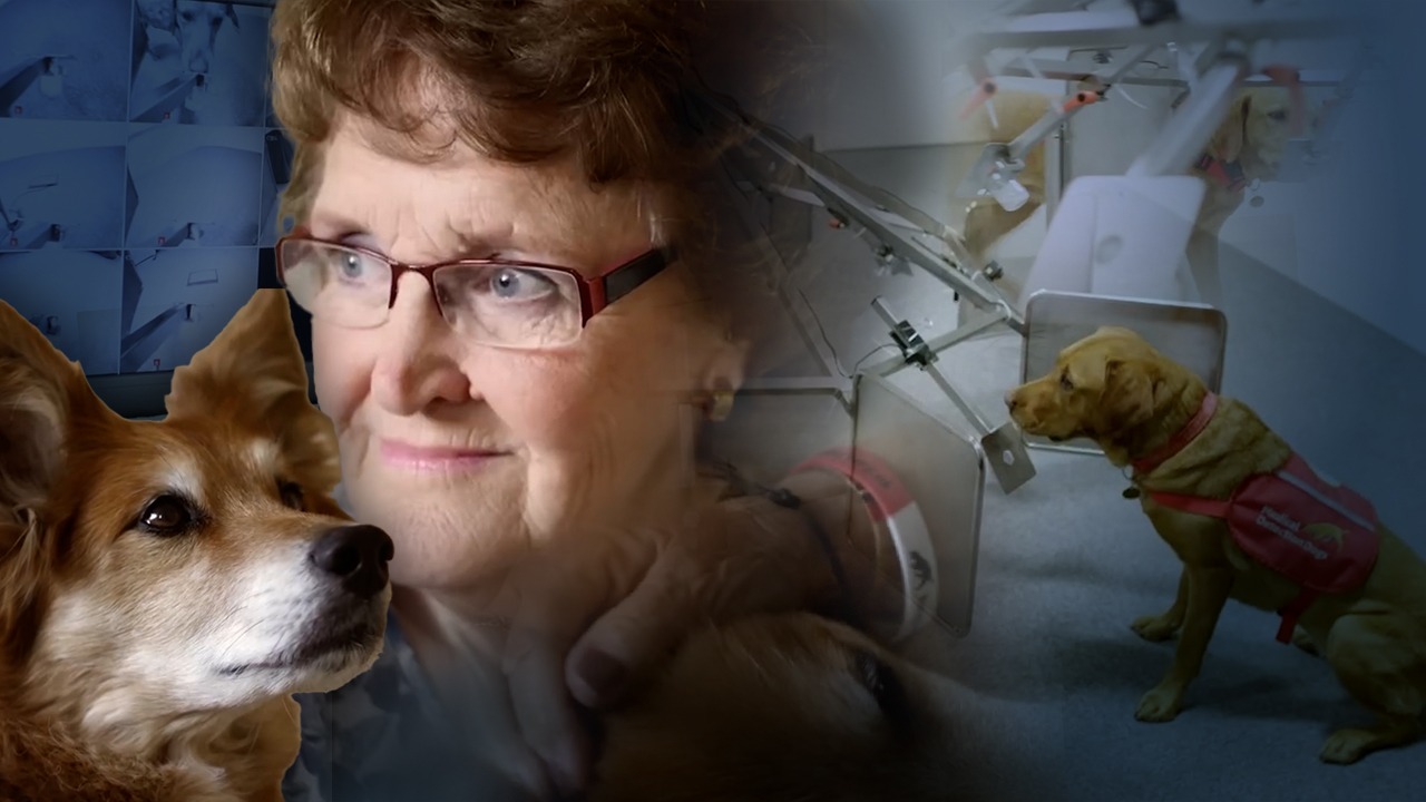 simtul-salvator-al-cainilor-povestea-emotionanta-a-lui-max,-cainele-care-si-a-salvat-stapana,-detectand-cancerul-din-corpul-ei:-„si-a-pus-nasul-pe-pieptul-meu-pentru-a-verifica-locul-unde-fusese-operat.-il-iubesc-atat-de-mult!”-/-clipul-care-a-emotionat