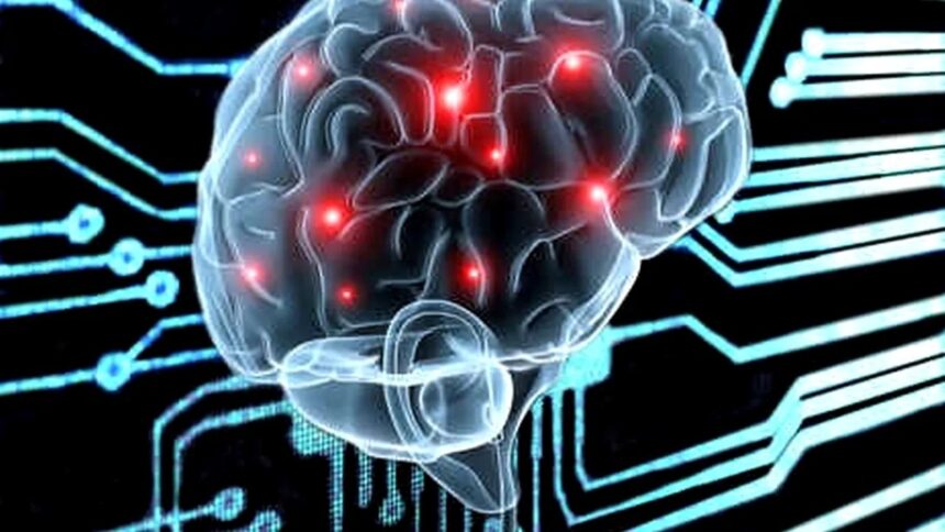 adio-note,-diplome-sau-teste-de-iq!-creierul-tinerilor-romani-de-top-analizat-cu-tehnologia-folosita-de-nasa.-cercetare-in-premiera