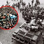noi-dezvaluiri-despre-revolutia-din-’89-ies-la-iveala,-la-36-de-ani-distanta!-cine-a-ordonat-sa-se-traga-in-romanii-din-sibiu