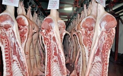 asociatia-romana-a-carnii:-dupa-un-2025-dificil,-urmeaza-un-2026-chiar-mai-complicat-–-economica.net