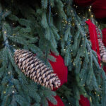 craciunul-in-lume,-traditii-si-superstitii-de-la-alte-popoare.-ce-parada-inedita-fac-milionarii-din-elvetia