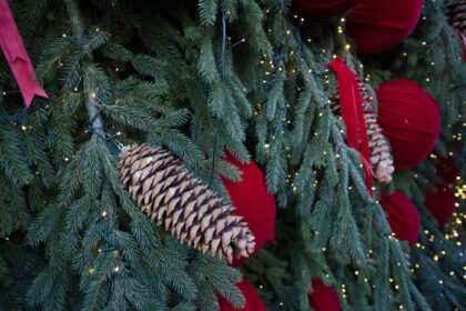 craciunul-in-lume,-traditii-si-superstitii-de-la-alte-popoare.-ce-parada-inedita-fac-milionarii-din-elvetia