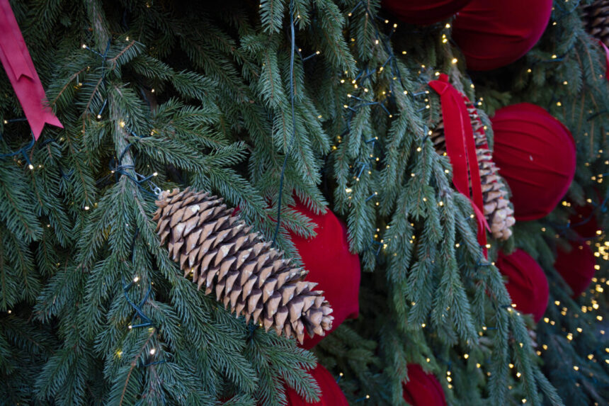craciunul-in-lume,-traditii-si-superstitii-de-la-alte-popoare.-ce-parada-inedita-fac-milionarii-din-elvetia