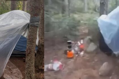 povestea-incredibila-a-unui-barbat-gasit-in-viata,-desi-era-disparut-si-declarat-mort-de-17-ani.-unde-a-fost-pana-acum-si-de-ce-plecase-de-acasa