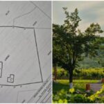localitatea-in-care-poti-cumpara-o-casa-cu-doar-2182-de-euro.-terenul-are-peste-2500-de-metri-patrati