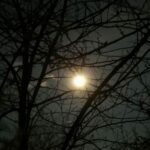 luna-lupului-si-credintele-iernii.-cand-se-vede-prima-superluna-din-2026?