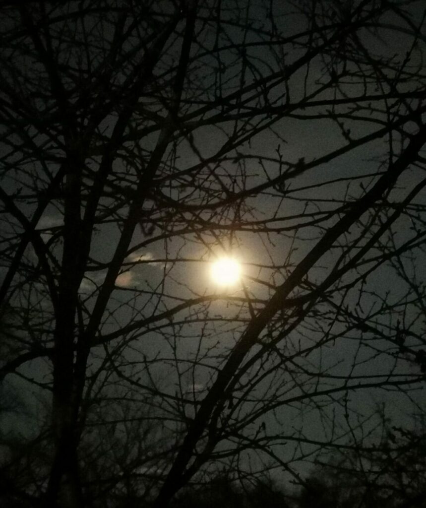 luna-lupului-si-credintele-iernii.-cand-se-vede-prima-superluna-din-2026?