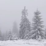 anm-anunta-ninsori-in-mare-parte-din-tara.-cod-portocaliu-in-patru-judete