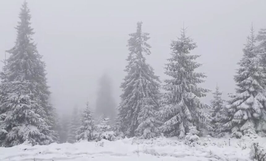 anm-anunta-ninsori-in-mare-parte-din-tara.-cod-portocaliu-in-patru-judete