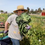 fermierii-anunta-un-protest-urias-impotriva-guvernului-bolojan:-agricultura-risca-un-colaps-generalizat