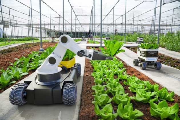robotii-ies-din-fabrici:-transporturile,-agricultura-si-turismul-devin-tot-mai-automatizate-topul-vanzarilor-–-economica.net