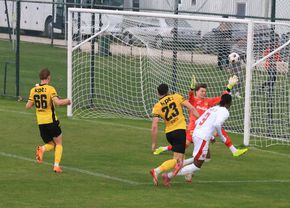 7-detalii-de-la-amicalul-lui-dinamo-cu-young-boys:-prezente-surpriza-si-experimentul-lui-zeljko-kopic-de-ce-si-au-modificat-cainii-echipamentul