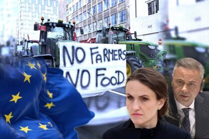 scandal-in-guvernul-romaniei,-pe-acordul-mercosur:-psd-o-acuza-pe-oana-toiu-de-tradare.-a-votat-fara-sa-protejeze-fermierii-romani