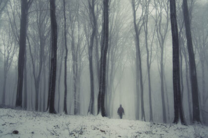 l-au-salvat-lupii.-povestea-incredibila-a-unui-barbat-gasit-viu-dupa-4-zile-in-zapada