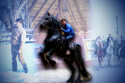 povestea-incredibila-a-imblanzitorului-de-cai-din-parlamentul-romaniei.-deputatul-a-mers-calare-350-km-pana-la-alba-iulia