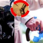 analiza-financial-times:-provocarea-cea-mai-mare-a-europei-este-sistemul-de-pensii