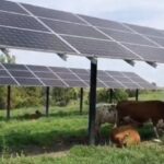 se-va-apropia-romania-de-pragul-de-10000-mw-de-fotovoltaice-la-finalul-lui-2026?-ce-spun-ultimele-prognoze-–-economica.net