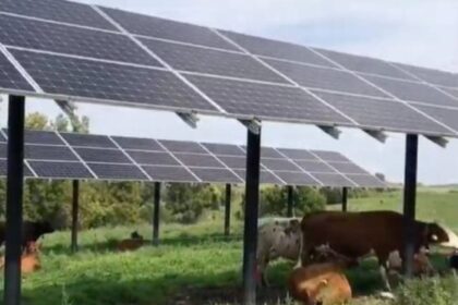 se-va-apropia-romania-de-pragul-de-10000-mw-de-fotovoltaice-la-finalul-lui-2026?-ce-spun-ultimele-prognoze-–-economica.net