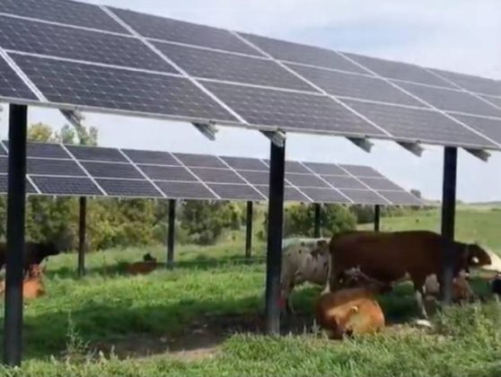 se-va-apropia-romania-de-pragul-de-10000-mw-de-fotovoltaice-la-finalul-lui-2026?-ce-spun-ultimele-prognoze-–-economica.net