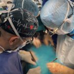 cand-am-auzit-elicopterul,-mi-am-ridicat-fruntea-spre-cer.-primul-transplant-de-cord-din-2026