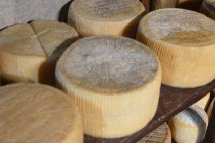 cele-mai-bune-100-de-branzeturi-din-lume-una-este-din-romania-cine-o-produce-–-economica.net