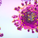 virusuri-„antrenate-in-spatiu”-sa-ucida-bacterii-pe-pamant.-primele-exemplare-ale-experimentului-stiintific-de-pe-statia-spatiala-au-revenit-pe-terra